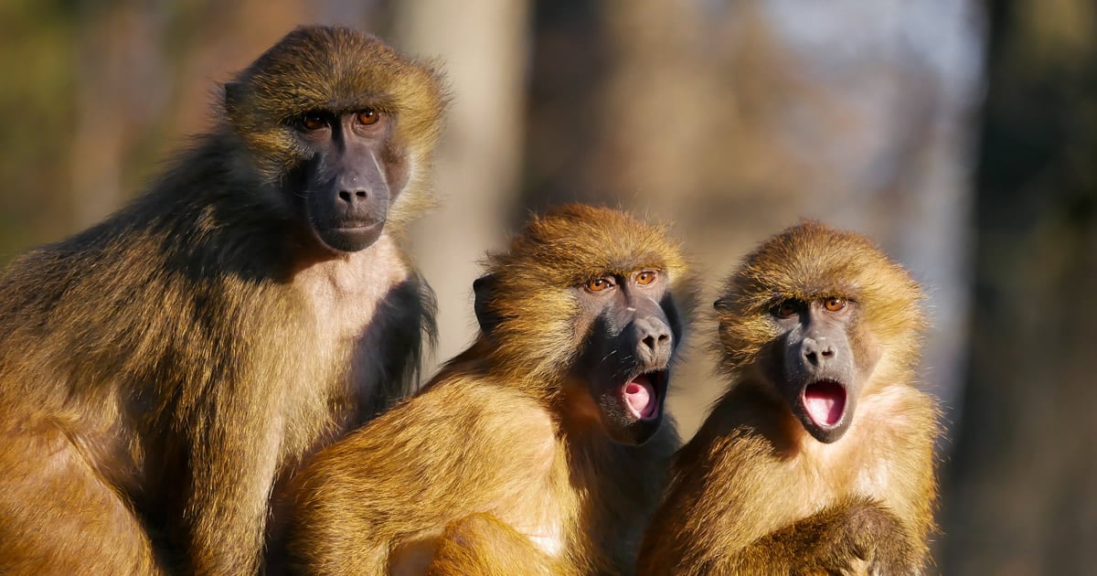 kompetenz hat vorfahrt